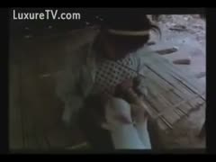 Asian tits are a favorite food of pigs.